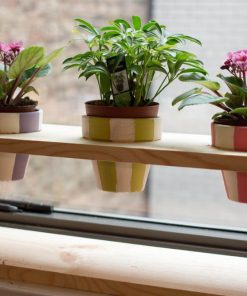 Chậu hoa trang trí cửa sổ nhỏ đẹp